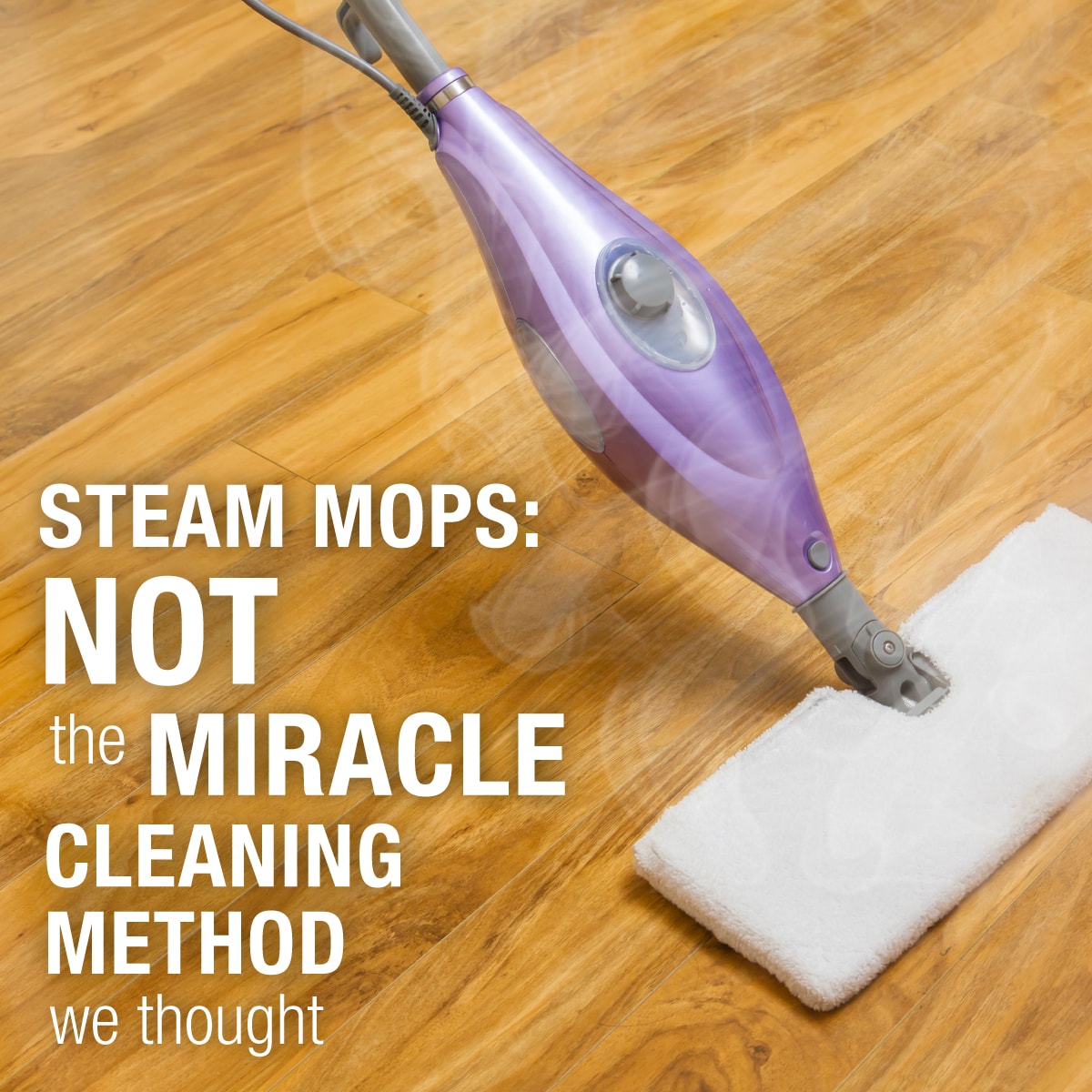 Steam_Mops_1 Steam_Mops_1